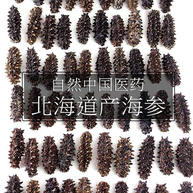 乾燥ナマコ特A級品Sサイズ100g(化粧箱入り) 1本4g〜6g前後(特A