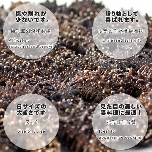 乾燥ナマコ特A級品Sサイズ100g(化粧箱入り) 1本4g〜6g前後(特A