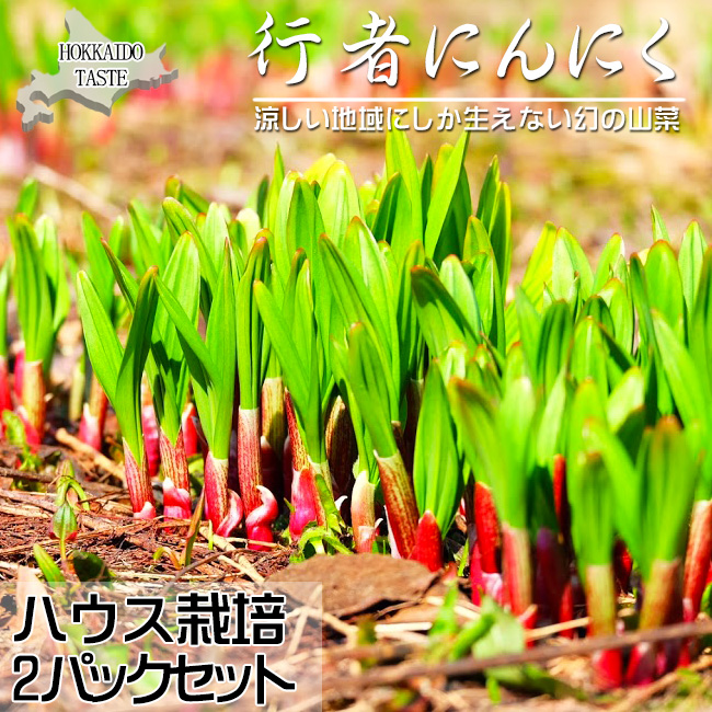 行者にんにく50g×2パック(北海道産)ハウス栽培 (ヒトビロ