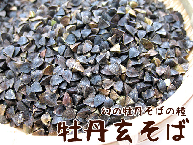 牡丹玄蕎麦900g（ぼたんそばの種）北海道産 生産量の少ない幻の