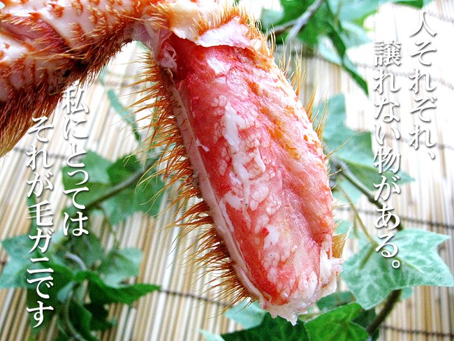 ボイル 毛がに 500g (北海道産特大毛蟹)このケガニ安いですが訳ありではありません(冷凍毛ガニ)蟹味噌三大蟹の1つのけがに : ms06684 :  吉粋 - 通販 - Yahoo!ショッピング