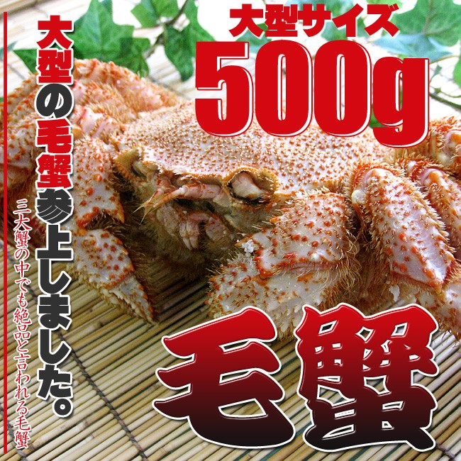 ボイル 毛がに 500g (北海道産特大毛蟹)このケガニ安いですが訳あり