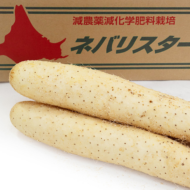 ネバリスター 10kg【3Lサイズ】北海道特産品の長いも 通常の長芋の2倍以上の粘りと滑らかな舌触りの新品種の長いも【送料無料】