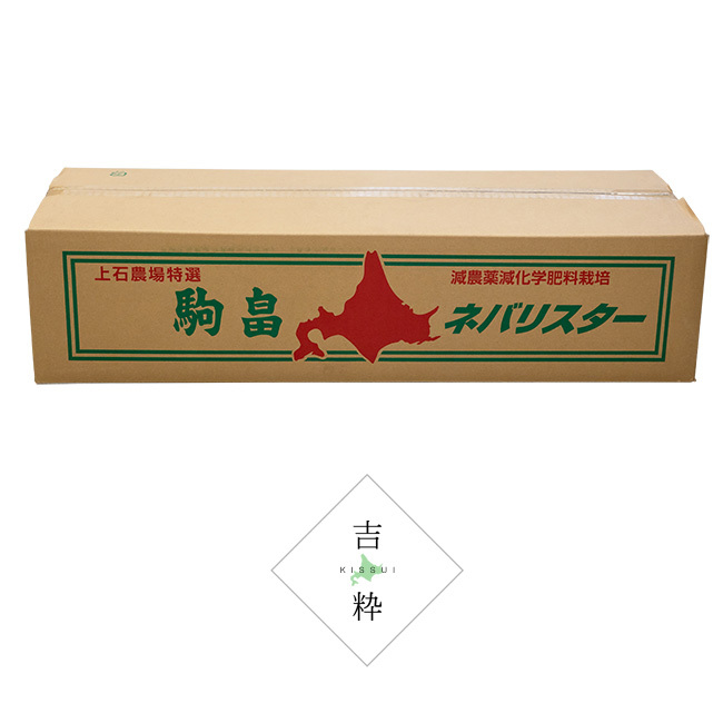ネバリスター 10kg【3Lサイズ】北海道特産品の長いも 通常の長芋の2倍