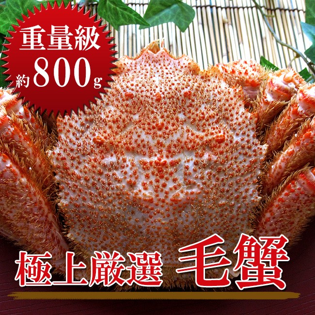 毛蟹 800g×5尾(4kg箱) 北海道 毛がに5尾セット北海道産巨大毛蟹)(冷凍