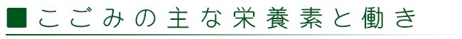 主な栄養素と働き