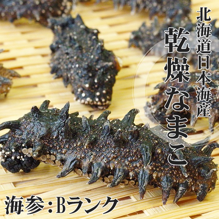 乾燥ナマコ B級品 100g (Bランク) 北海道産乾燥なまこ 金ん子 (中華