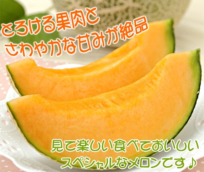 ハローキティふらのメロン1.6〜1.8kg×1玉(秀品) 化粧箱入 数量