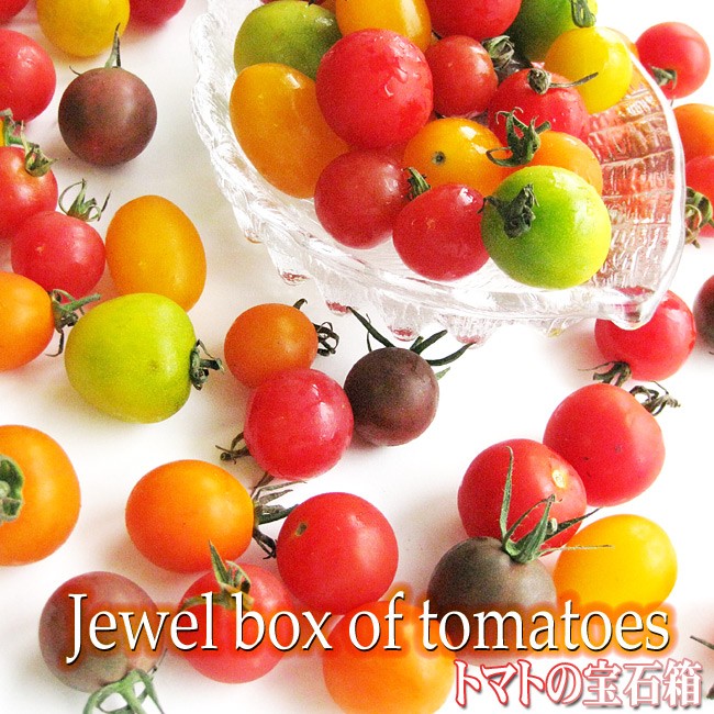 カラフルミニトマト1kg 北海道産トマトの宝石箱 美味しくレアなとまとの詰合せ(TOMATO JEWELRY BOX)
