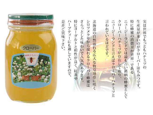 クローバー蜂蜜 600g×2個セット 化粧箱入り 北海道産