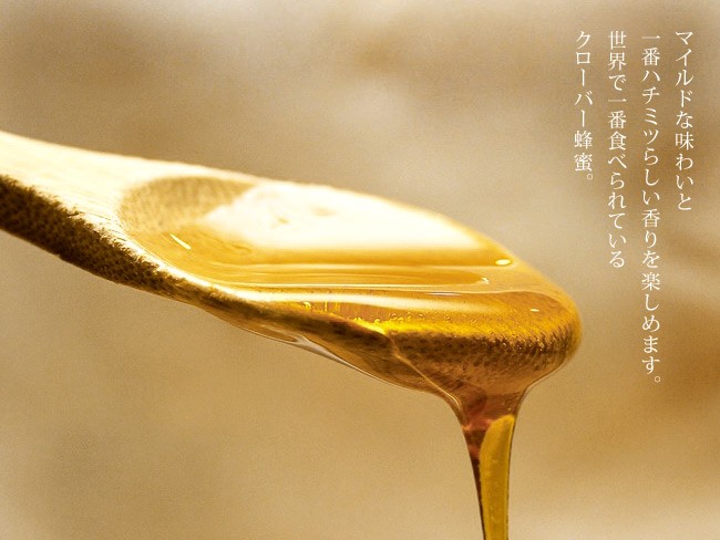 クローバー蜂蜜 600g×2個セット 化粧箱入り 北海道産