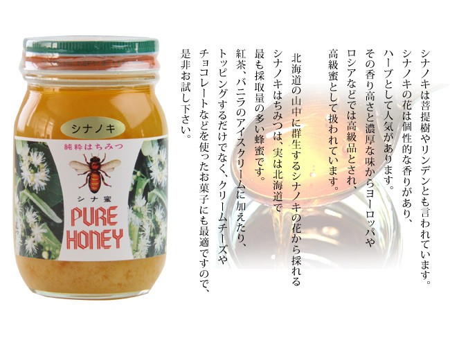 シナノキ蜂蜜 600g 化粧箱入り(シナノキはちみつ)北海道産シナノキ