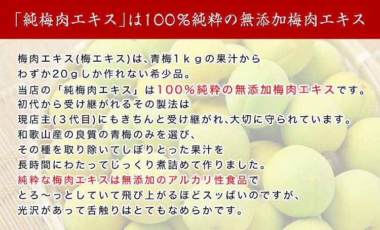 梅肉エキス 80g 塩分ゼロ 無添加 アルカリ性食品 梅 純 プラム
