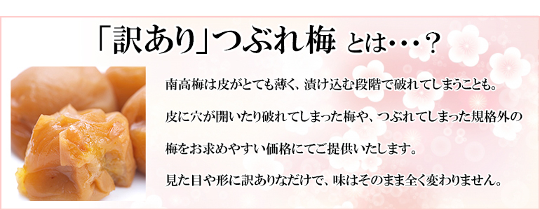 つぶれ梅干しはちみつ梅3％