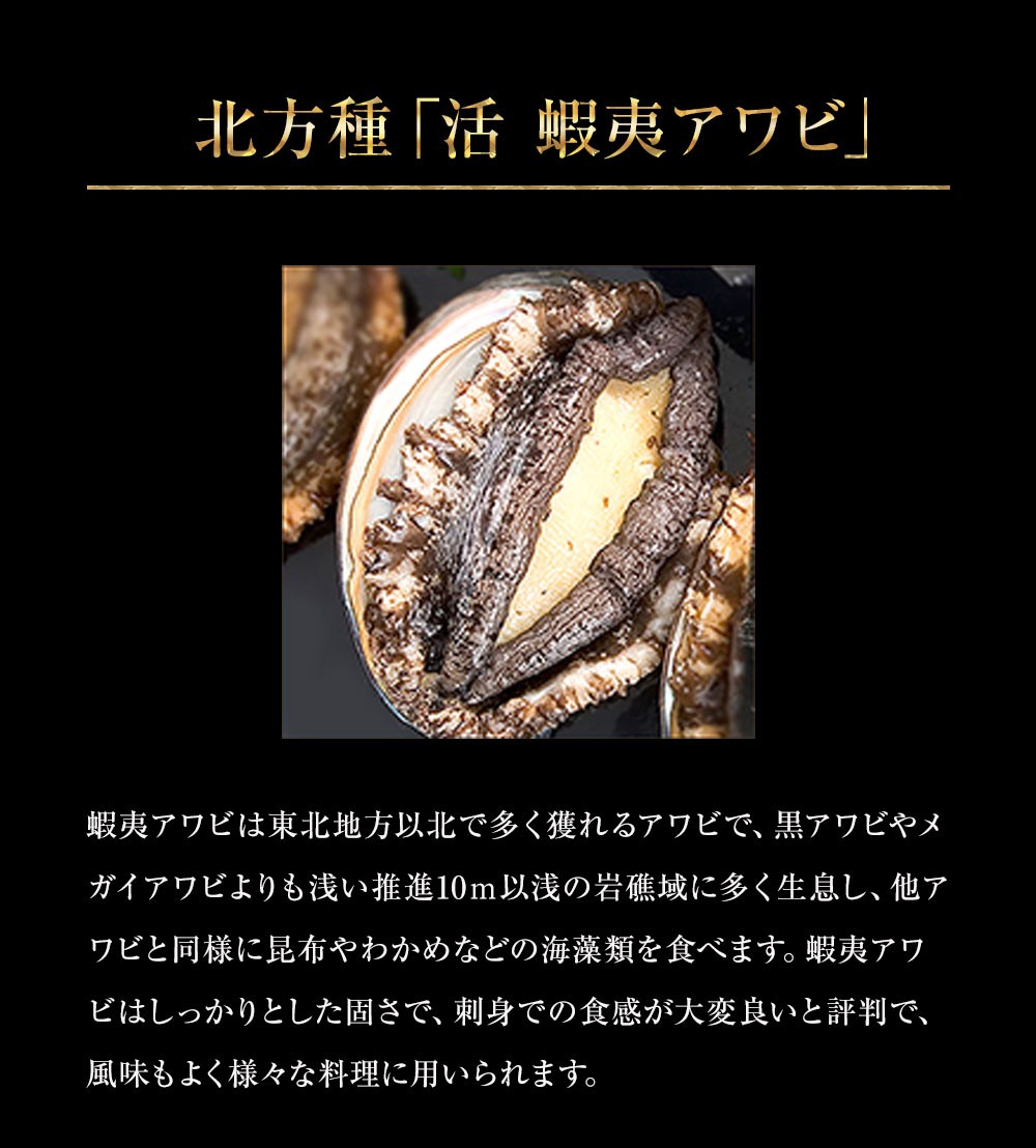 あわび アワビ 鮑 蝦夷あわび 活蝦夷あわび 50g 60gサイズ 5個入り 蝦夷あわび 蝦夷アワビ お歳暮 高級食材 食べ物 お歳暮 御歳暮 歳暮 お歳暮ギフト Ko 5005 紀和味 通販 Yahoo ショッピング