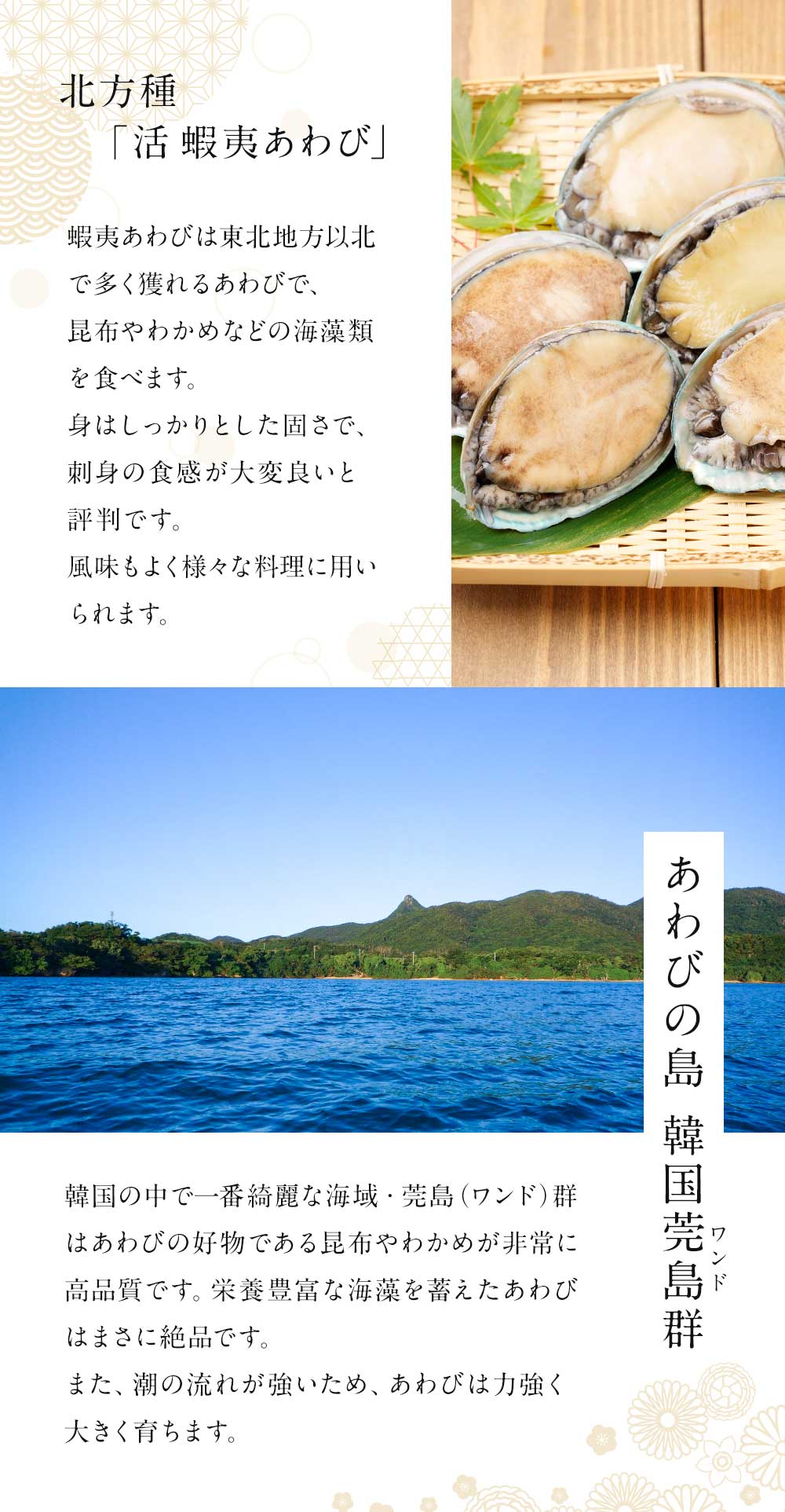 ポイント10倍！あわび アワビ 鮑 蝦夷あわび 活蝦夷あわび 50g-60gサイズ 5個入り 蝦夷あわび 蝦夷アワビ お歳暮 高級食材 食べ物  :KO-5005:あわび専門紀州紀和味 - 通販 - Yahoo!ショッピング