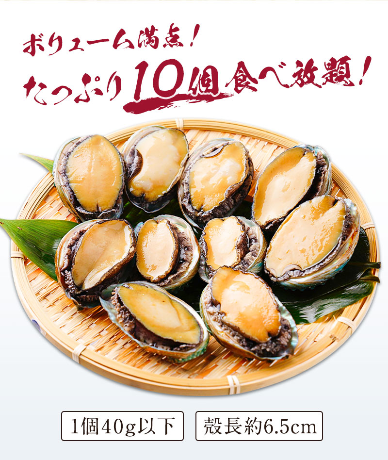 沸騰ブラドン 和歌山県産アワビ むき身 300g 約10粒-15粒入 ×2袋 真空パック 蝦夷あわび 蝦夷アワビ 高級食材 五つ星高級旅館御用達 送料無料  アワビ 鮑 煮貝 蒸しアワビ 煮あわび 高級グルメ 食べ物 bbq バーベキュー 食品 お取り寄せ fucoa.cl