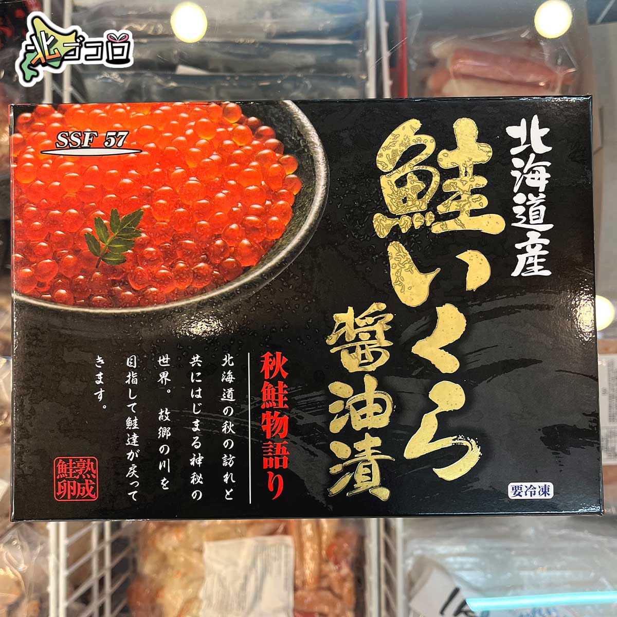 こちらが実物写真となります