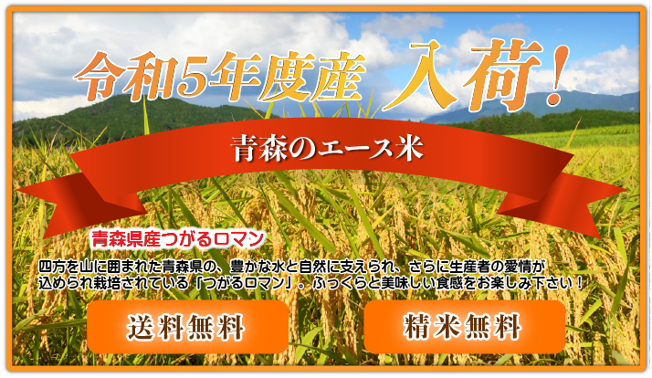 令和6年産 つがるロマン 20kg お米 白米 精米 青森県産 10kgｘ2袋 小分け 送料無料