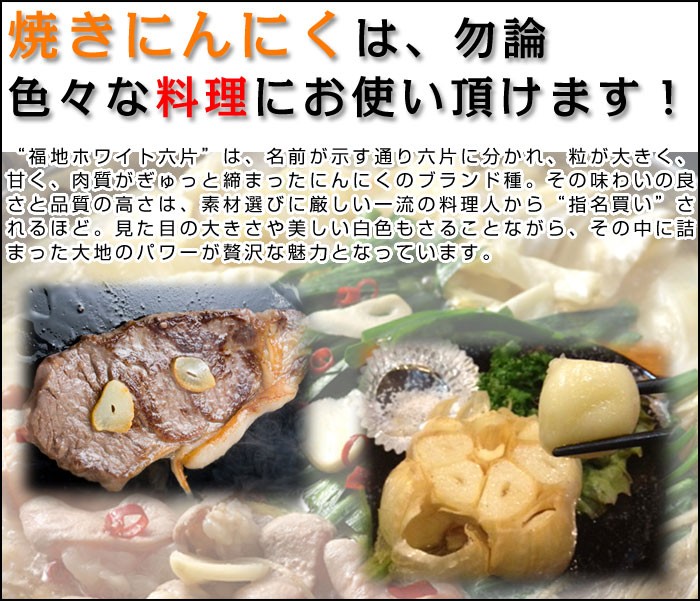 令和5年産 訳あり にんにく C品Mサイズ 1kg 青森県産 国産 福地