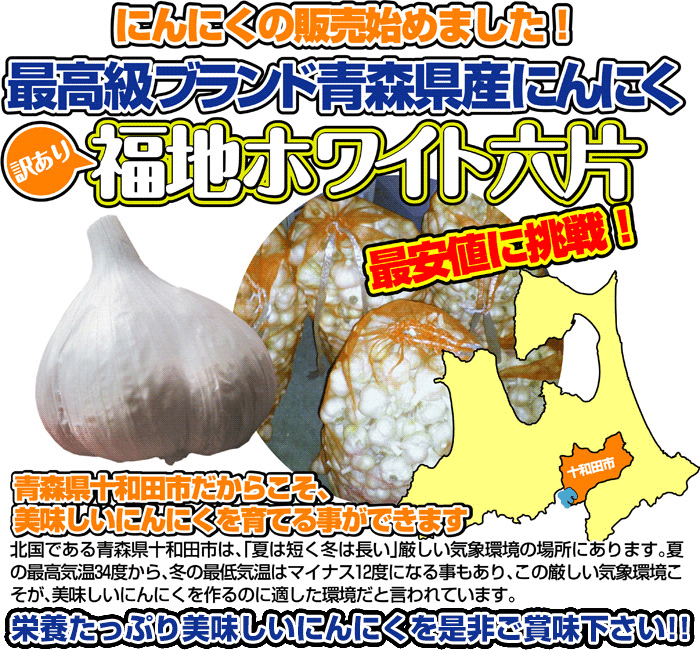 令和5年産 訳あり にんにく C品Mサイズ 1kg 青森県産 国産 福地