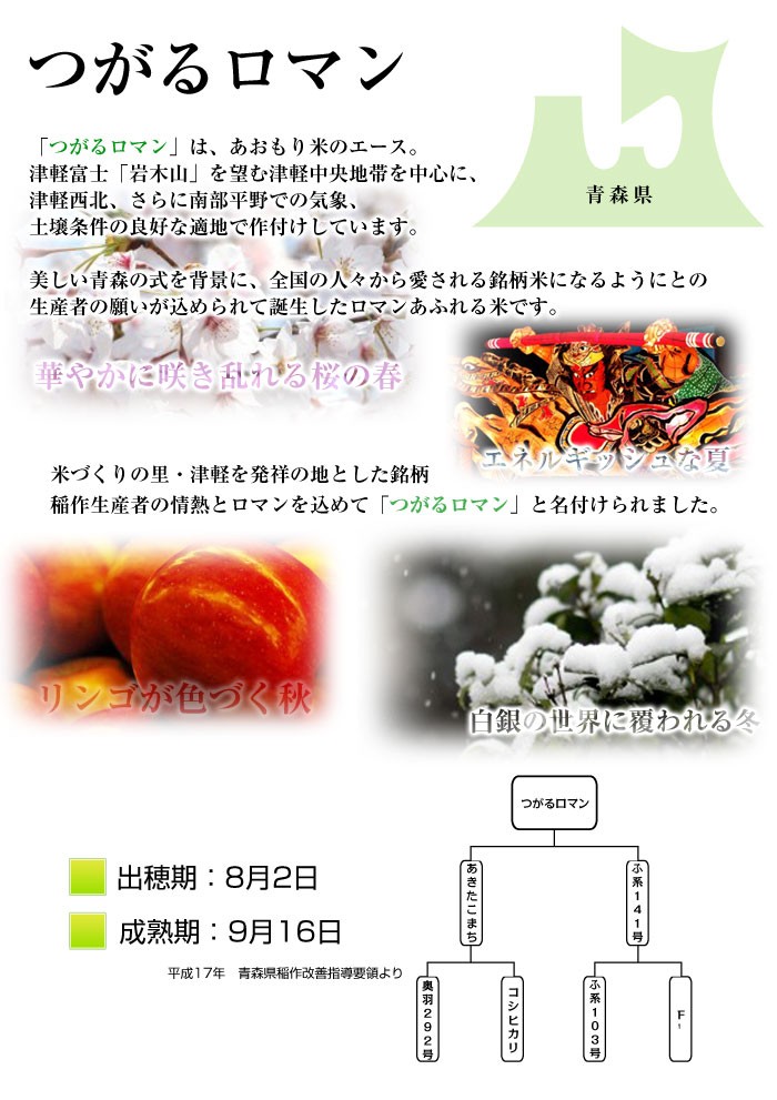 つがるロマン 令和6年産 10kg お米 白米 精米 青森県産 送料無料