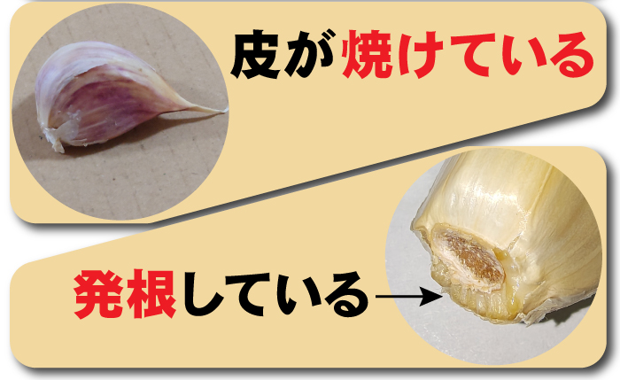 訳あり にんにく 粒不揃い 青森県産にんにく ホワイト六片にんにく