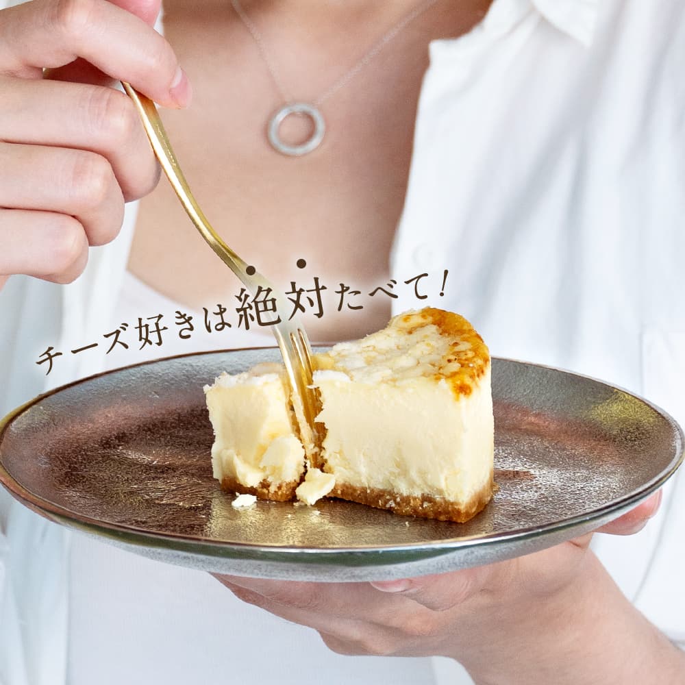 天空のベイクドチーズケーキ