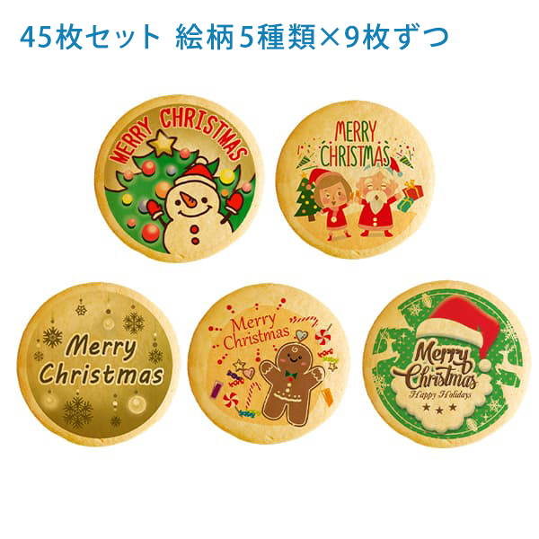 パーティ Xmas！ メッセージ クッキー 45枚 セット (箱入り