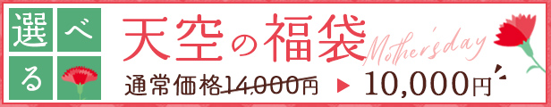 選べる福袋 14,000円相当が10,000円！