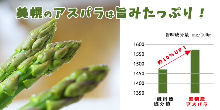 旨味成分のアミノ酸がたっぷりグラフ説明