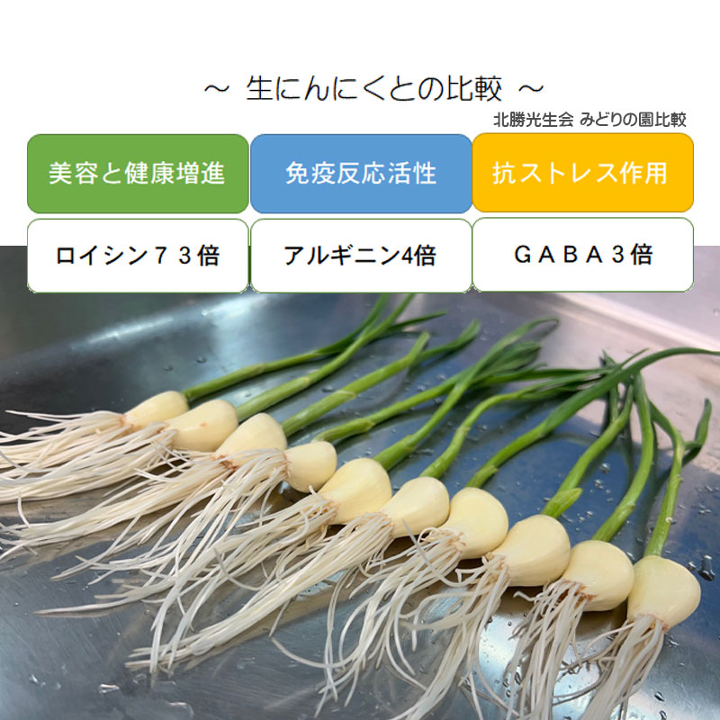 ガーリックスプラウト