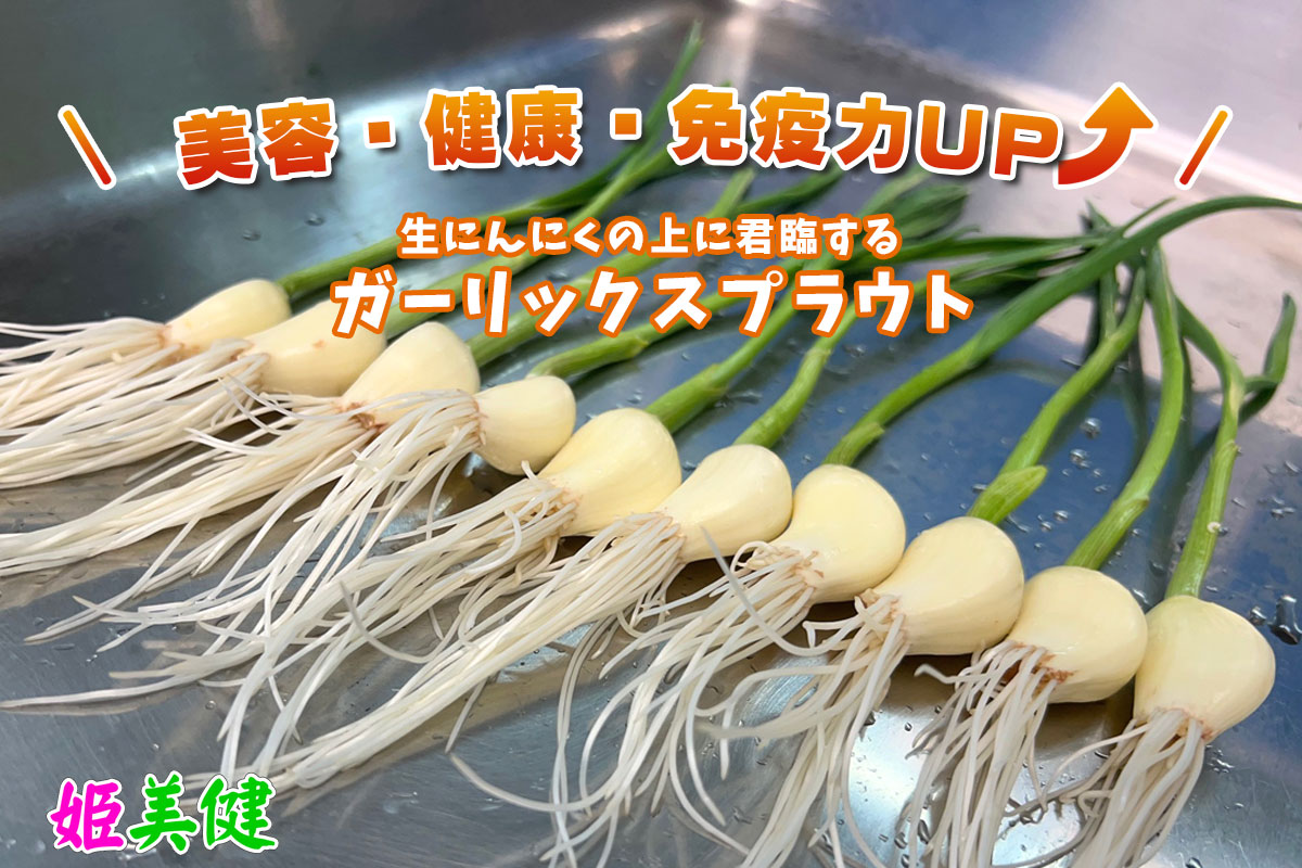  発芽にんにく 姫美健