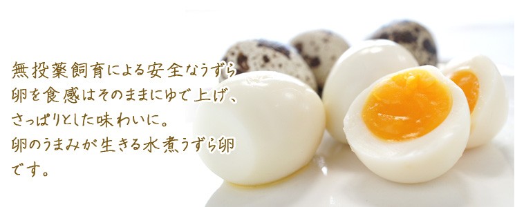 無投薬飼育による安全なうずら卵を食感はそのままにゆで上げ、さっぱりとした味わいに。卵のうまみが生きる水煮うずら卵です。