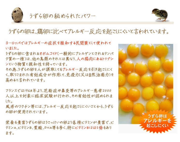 うずらの卵の秘められたパワー　鶏卵に比べてアレルギー反応が起こりにくい