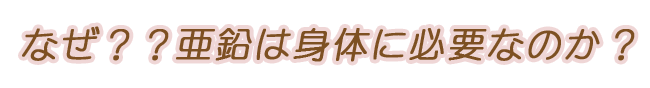 山本忠信商店　亜鉛大豆　ゆで枝豆