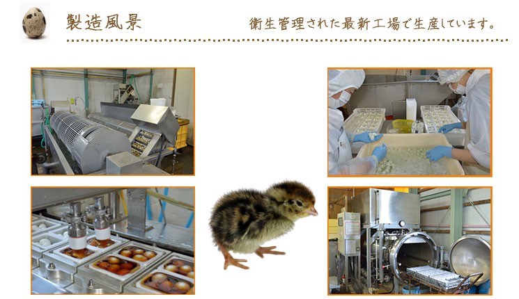 味付けうずらの製造過程です。