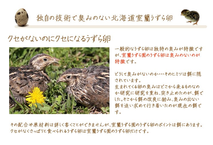 独自の技術で臭みのない北海道室蘭うずらの卵