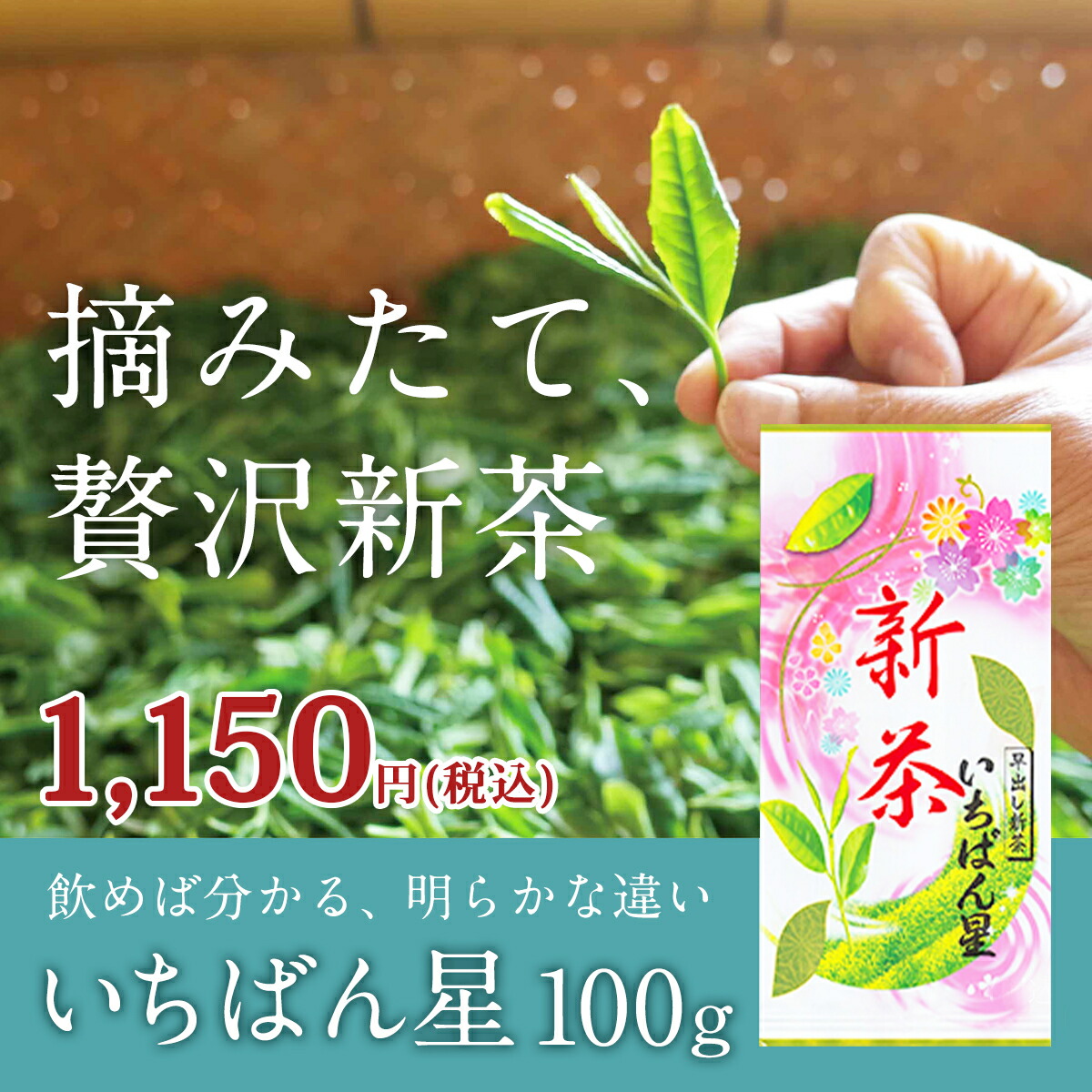 【2024 新茶】いちばん星 100g 緑茶 煎茶 日本茶 宇治茶