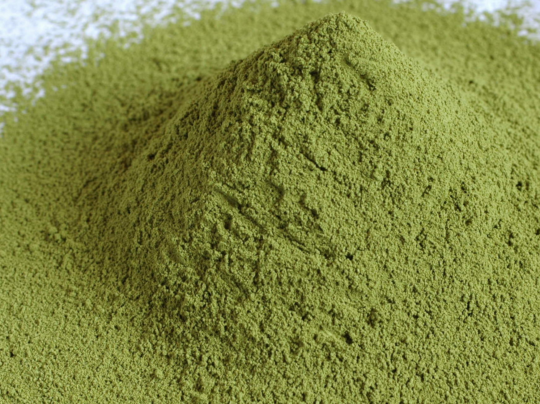 【送料無料】粉末かぶせ茶 100g入 粉末茶 お茶 粉末緑茶 粉茶 粉末煎茶 緑茶パウダー 煎茶パウダー 緑茶 粉末 関連画像2