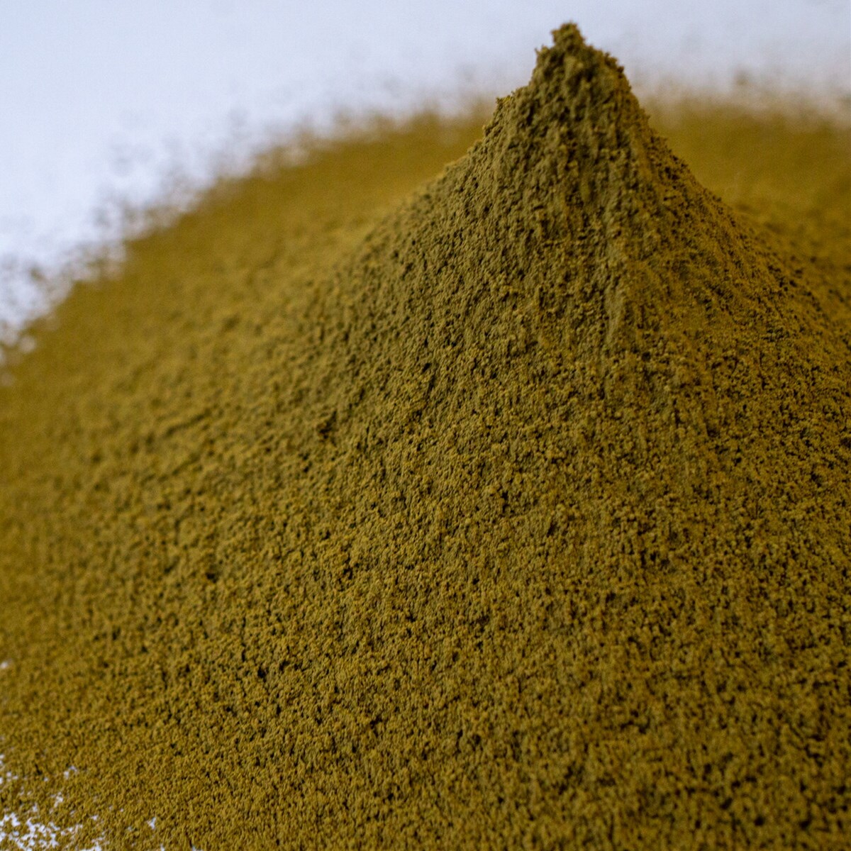ほうじ茶パウダー 100g 粉末 ほうじ茶 ほうじ茶粉末 ほうじ茶ラテ 製菓・加工用 ほうじ茶スイーツ ほうじパウダー 粉末茶 ほうじ茶菓子 焙じ茶 関連画像2