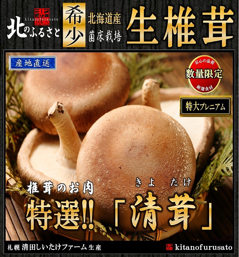 生 椎茸 超特大プレミアム 清茸 3Lサイズ 2玉 (1パック) 産地直送 札幌