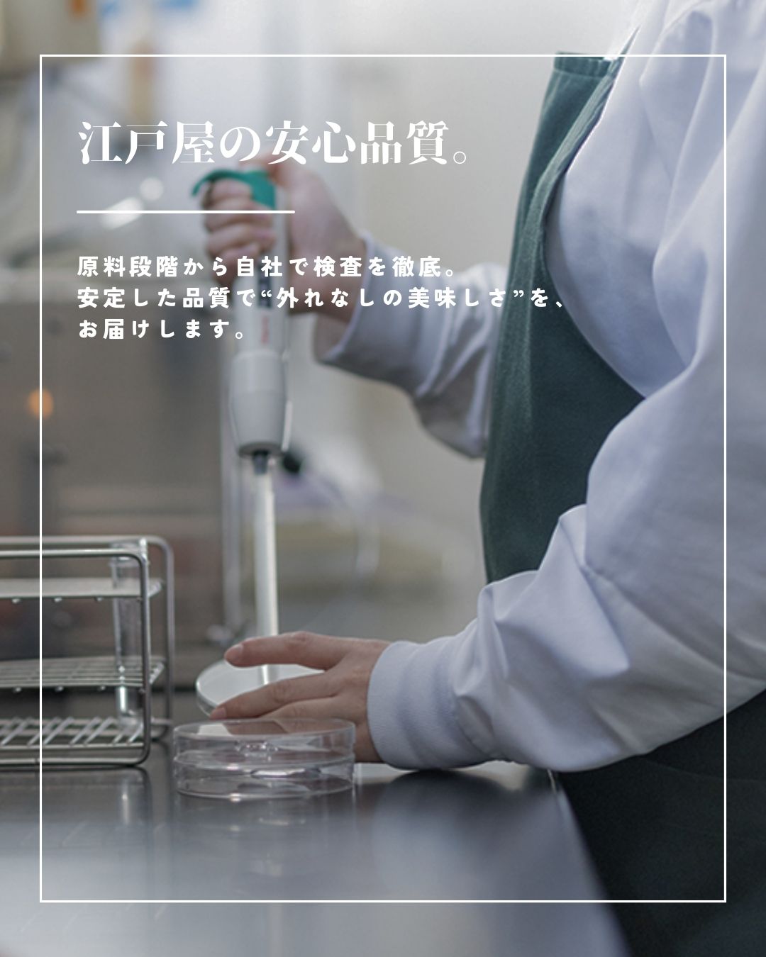 むきこまい
