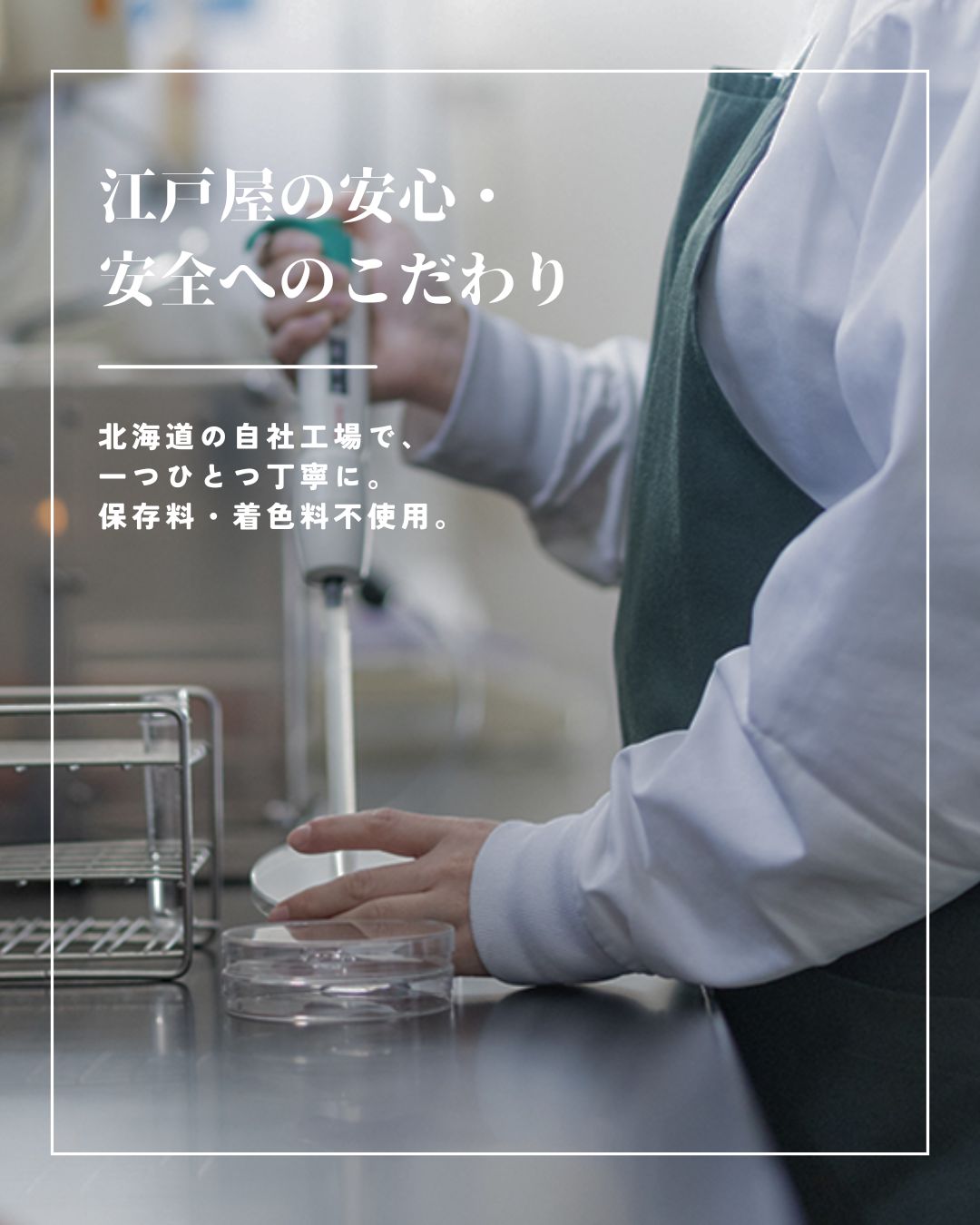 鮭皮チップ