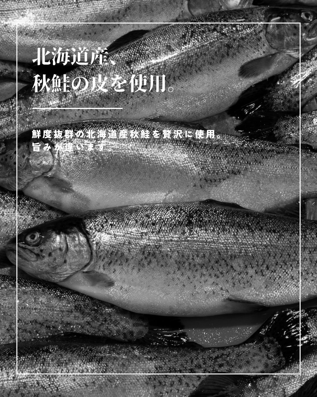 鮭皮チップ