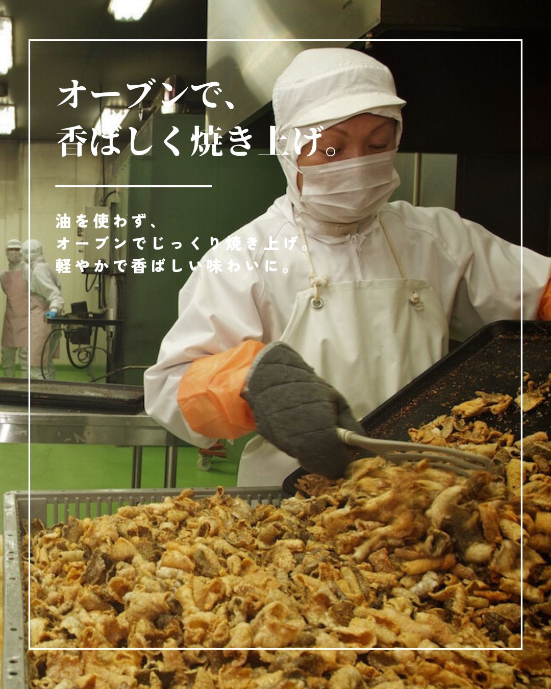 鮭皮チップ