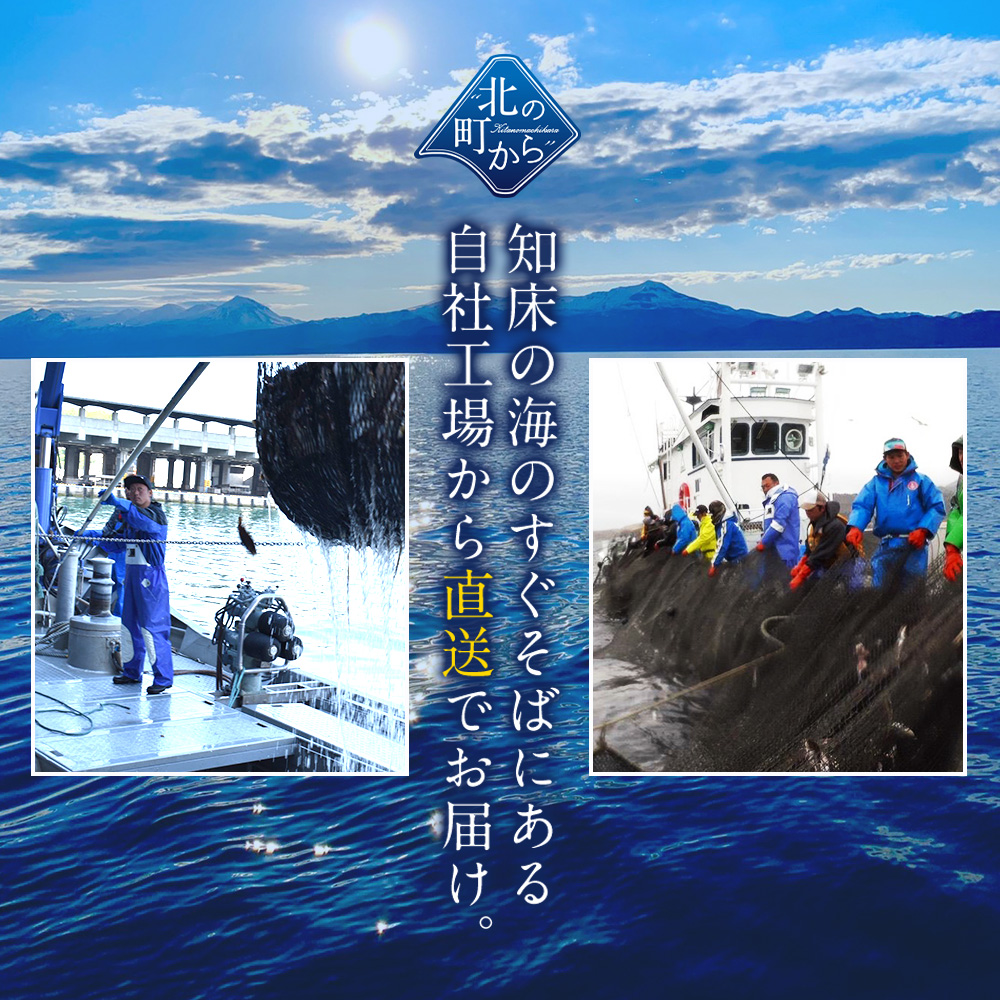 【期間限定33%OFF!29,850円⇒19,800円】北海道 知床・羅臼産 鮭いくら 醤油漬け 600g(200g×3)【獲れたての新鮮さを保ったまま漁師が浜で手造り!】 関連画像5