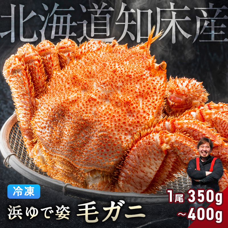 【3個まとめ買いで4,500円OFFクーポン!】毛ガニ 北海道 知床産 350g〜400g 【浜茹で急速冷凍 姿】 毛蟹 毛カニ 毛かに 毛がに カニ 蟹｜kitanomachi