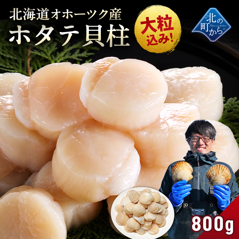 北海道 オホーツク産 ホタテ 800g ホタテ玉冷凍 大粒込み 新鮮で甘みが強くぷりぷり食感！