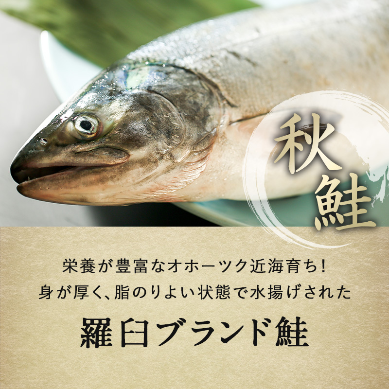 北海道 知床・羅臼産 鮭親子漬け 250g 鮭ルイベ漬け 鮭ルイベ ルイベ漬け 北海道産 鮭 いくら イクラ サーモン 海鮮丼 おつまみ お取り寄せ グルメ 関連画像3